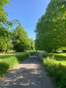 village-green-summer-23
